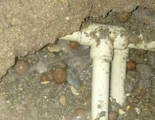 平桥卫生间测漏