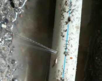 平桥卫生间测漏水多少钱