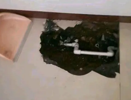 平桥卫生间测漏水多少钱